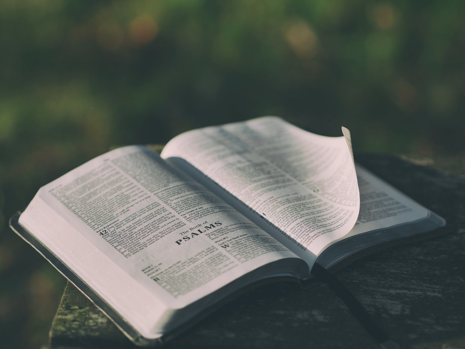 Delight In God Alone