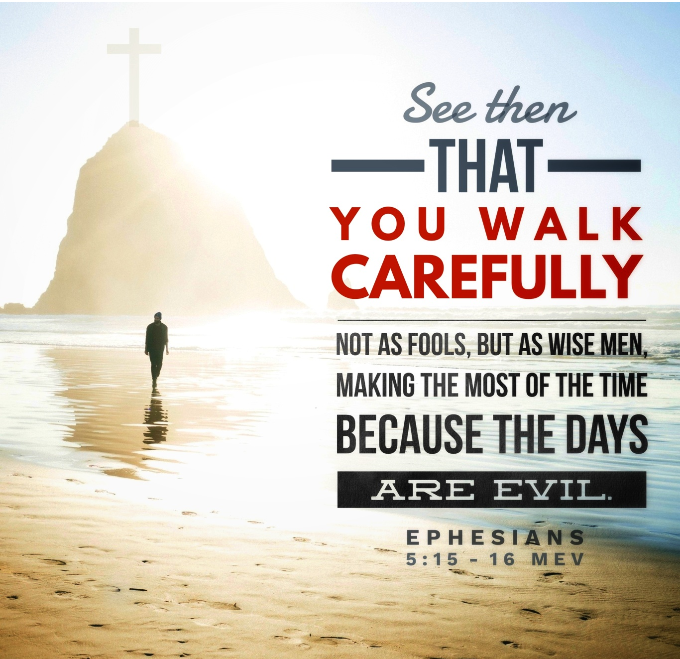 The Path Of The Wise