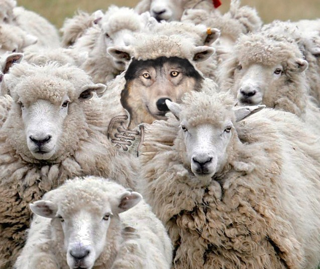 Wolves in Sheepskins